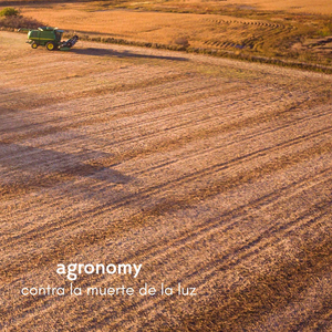 免费一级毛片一级A片成人片不卡
