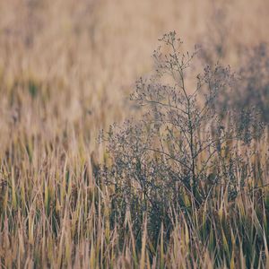 免费一级毛片一级A片成人片不卡
