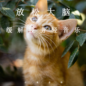 免费一级毛片一级A片成人片不卡
